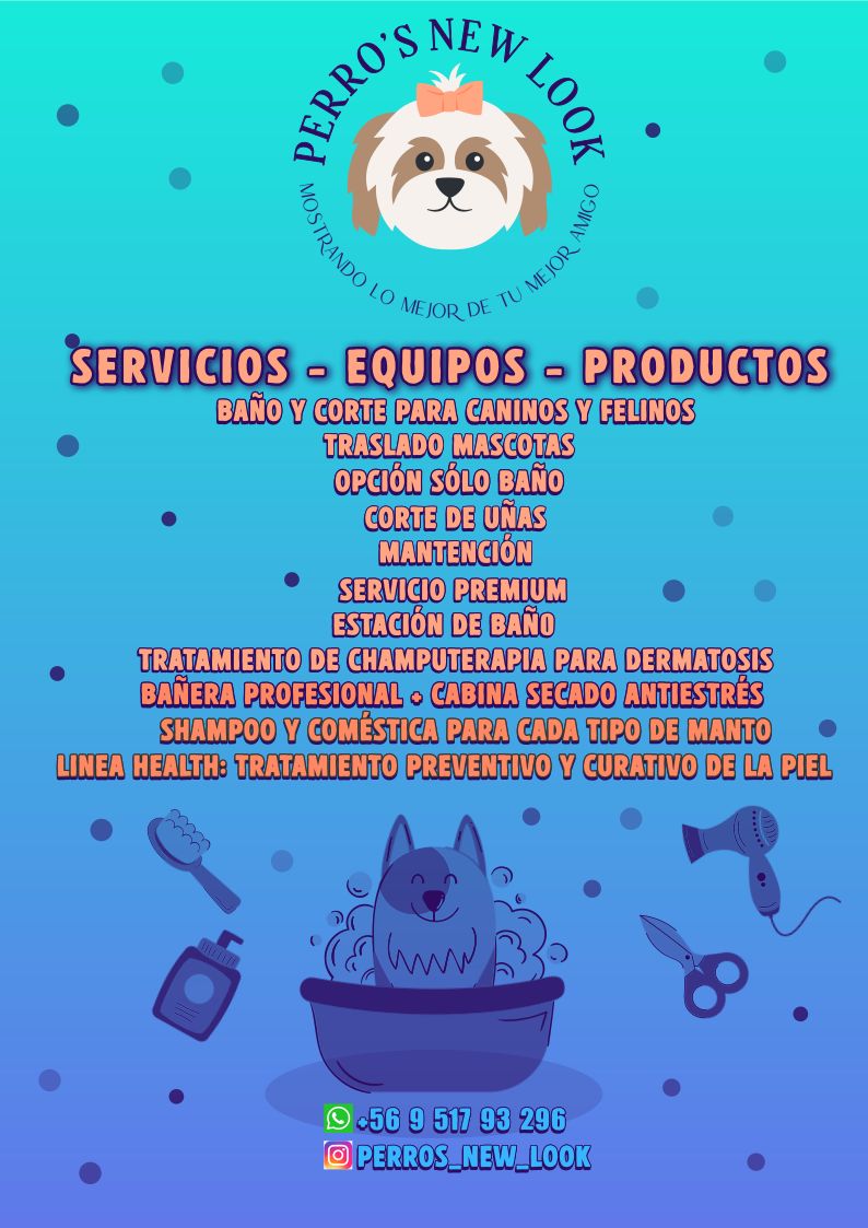 Whatsapp image 2025 06 16 at 4.01.41 pm